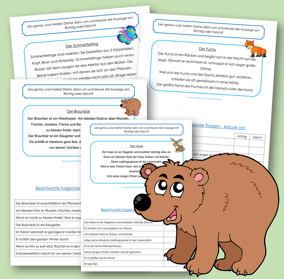 Waldtiere - richtig oder falsch?