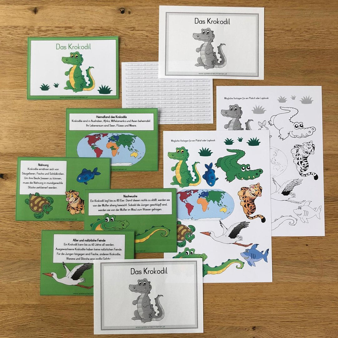 Tierkartei mit Abschreibheftchen - KROKODIL