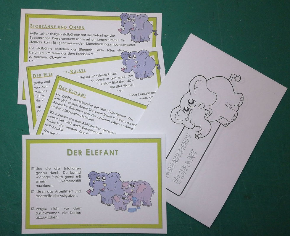 Tierkartei mit Arbeitsheft - ELEFANT