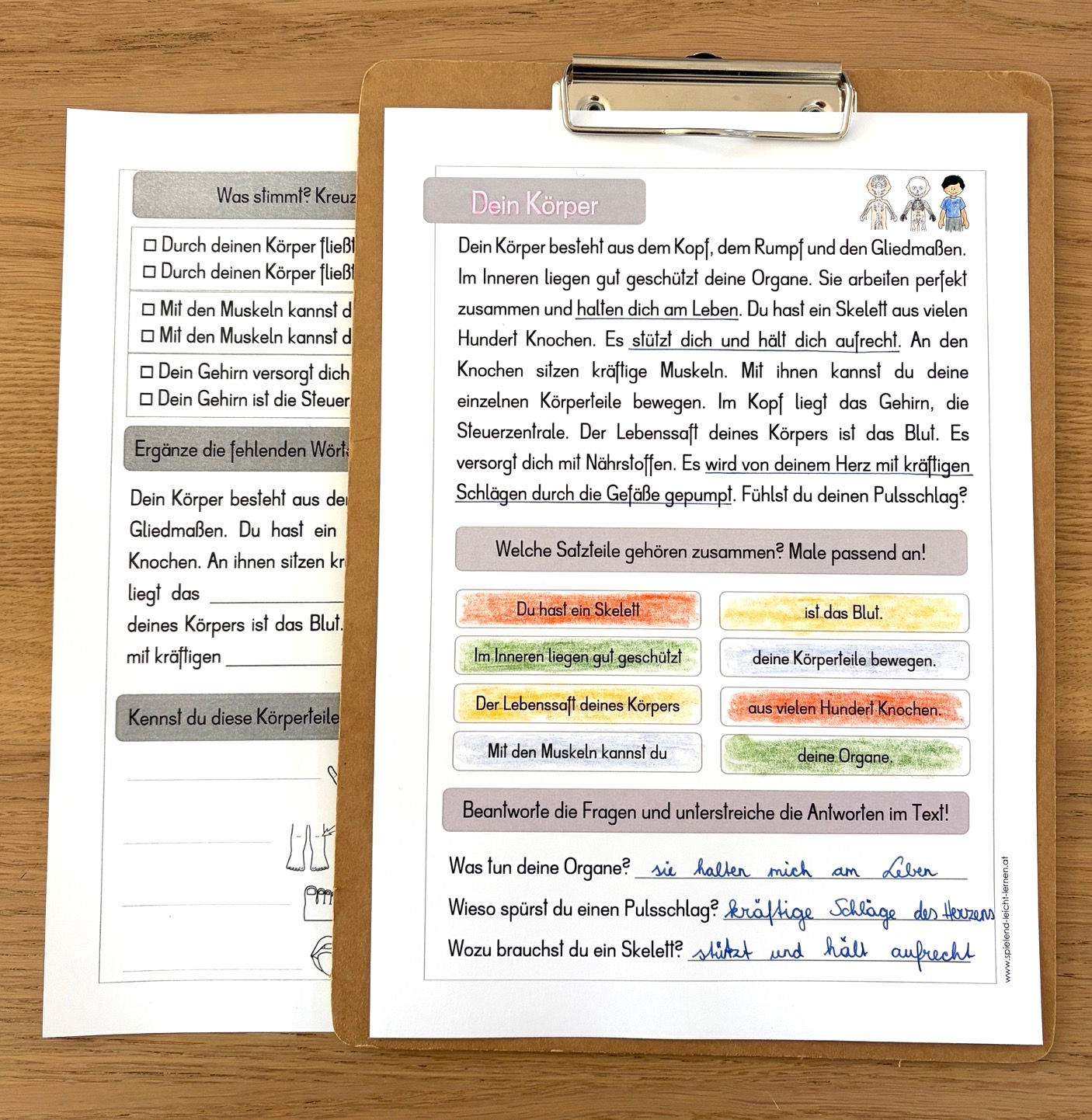 Körper Leseverständnis (doppelseitige Kopiervorlage)