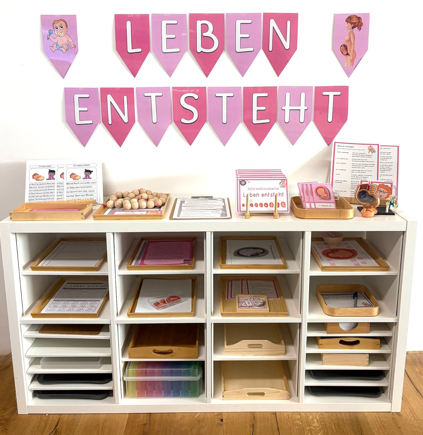Leben entsteht Materialpaket fächer- und schulstufenübergreifend