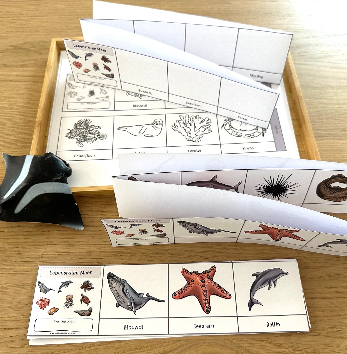 Leben im Meer - Leporello (mehrfachdifferenziert)