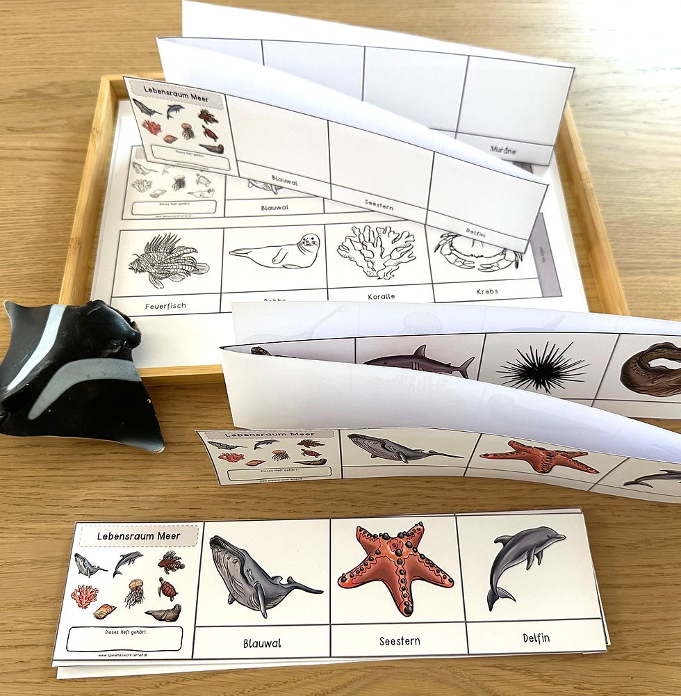 Leben im Meer - Leporello (mehrfachdifferenziert)