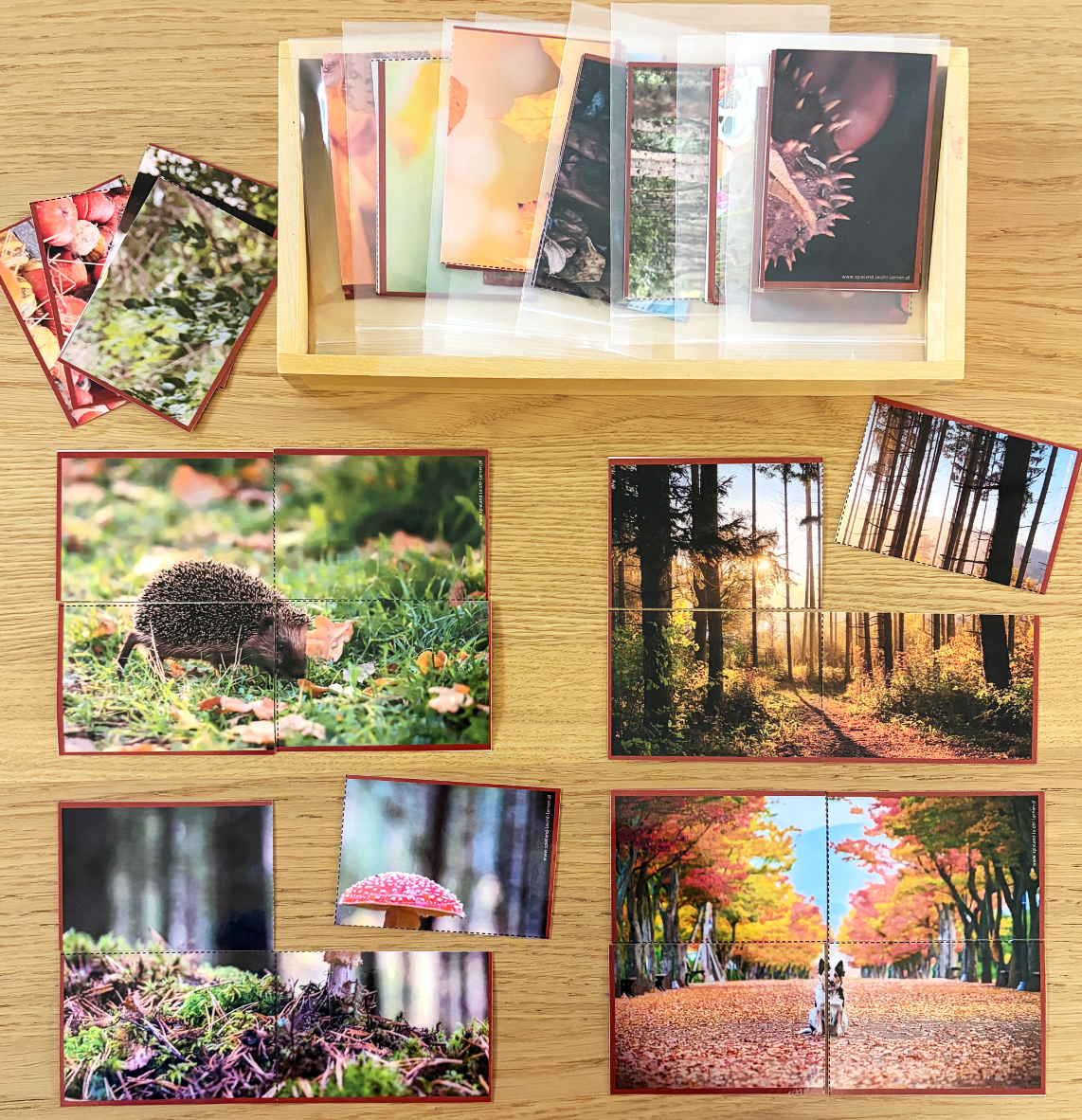 Herbst Igel Bildpuzzle (16 herbstliche Motive)