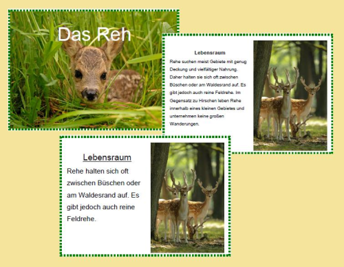 Das Reh - Kartei (leicht und schwierig)