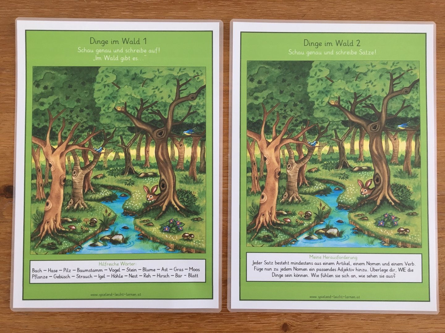 Sätze bilden zu Waldbild in 2 Schwierigkeitsvarianten