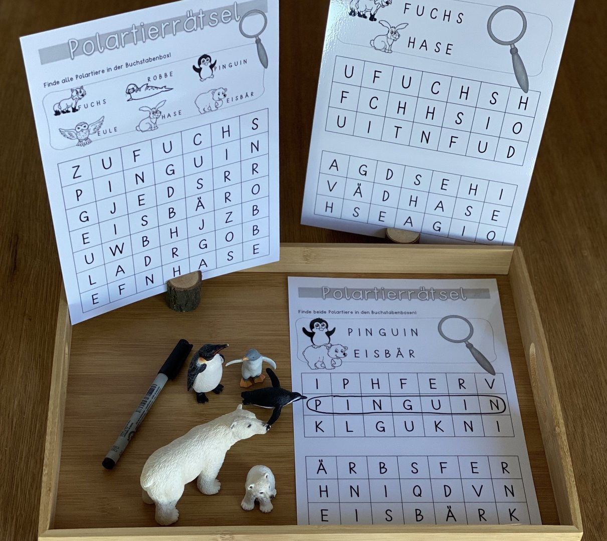 Polartiere Suchgitter