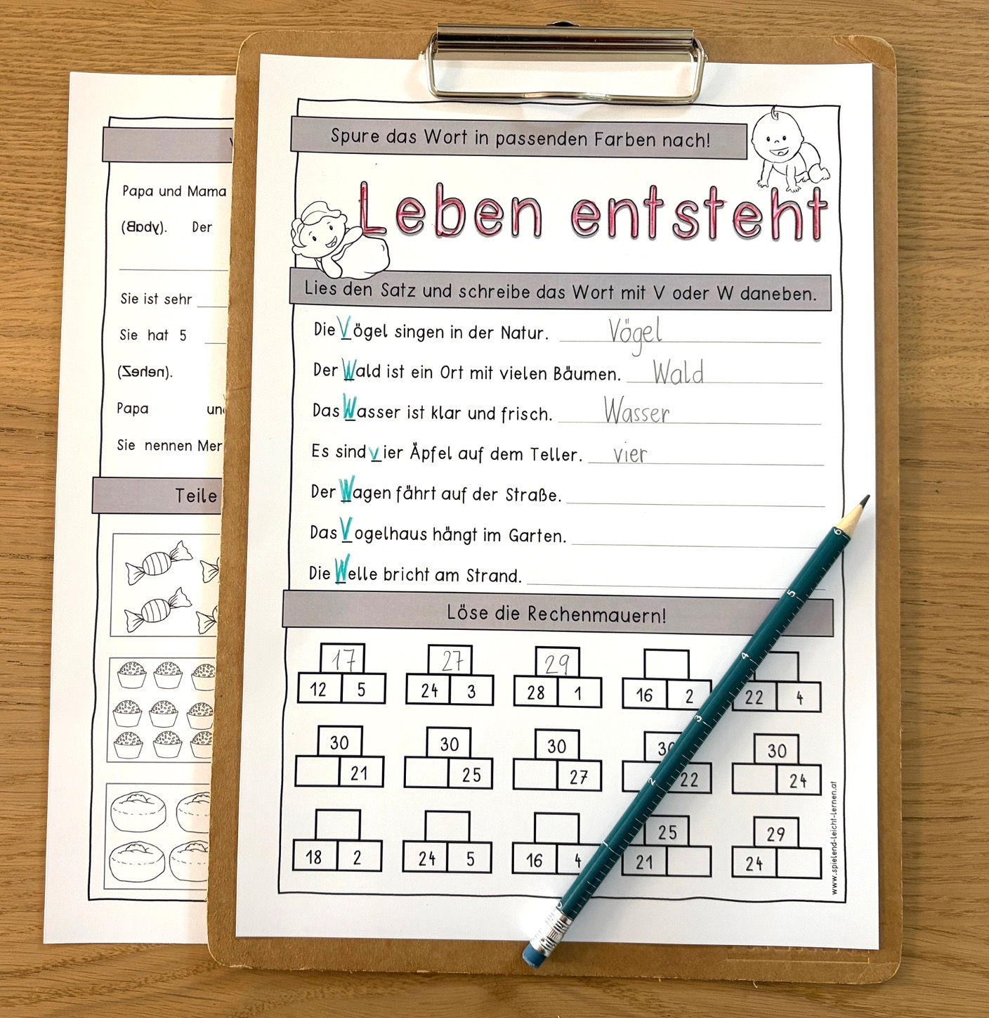 Leben entsteht Doppelseitige Kopiervorlage für die 1. Klasse inkl. Lösung