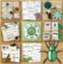 Insects - Materialpaket – Englisch