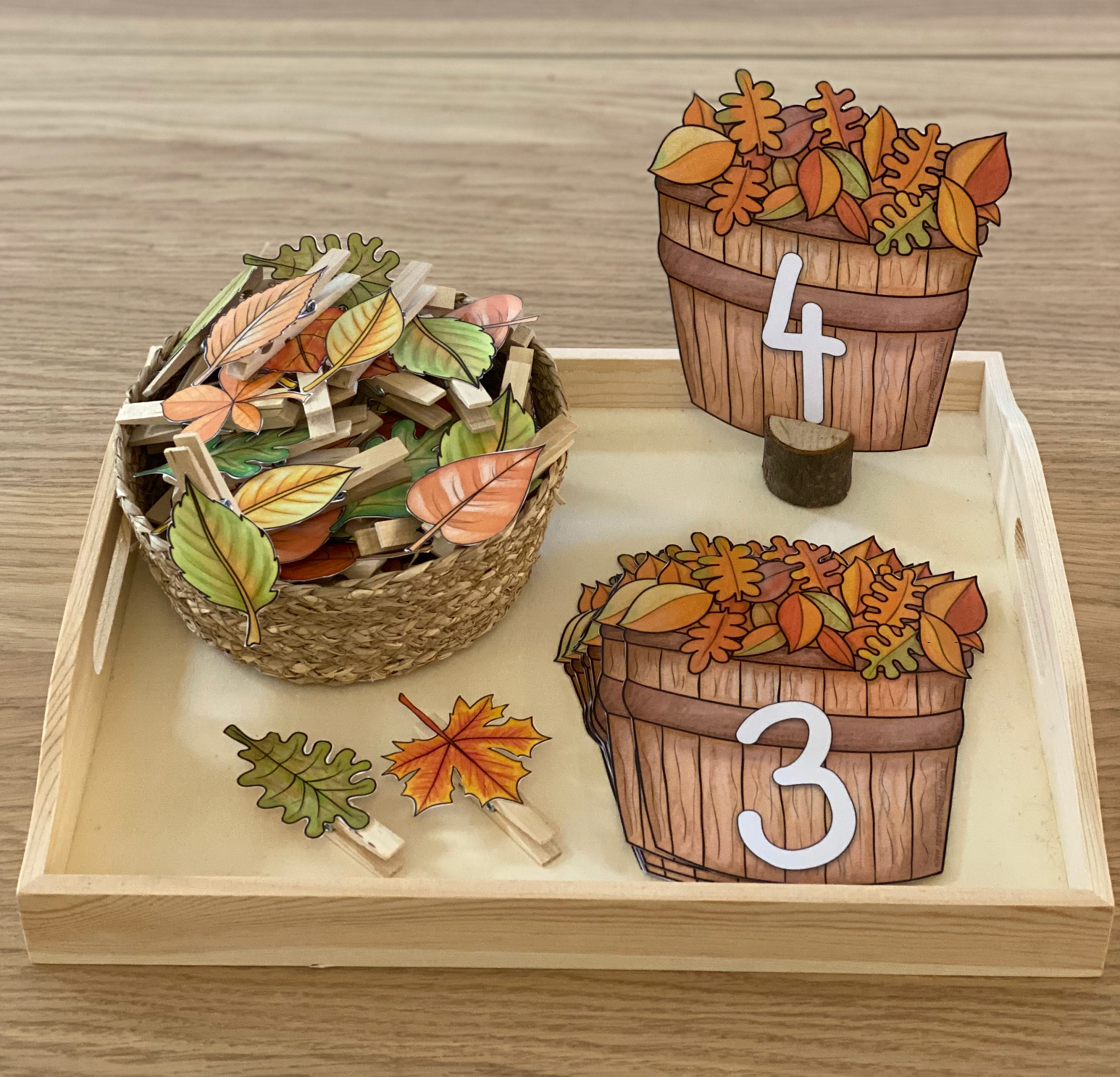 Herbst - Zahlmengen begreifen