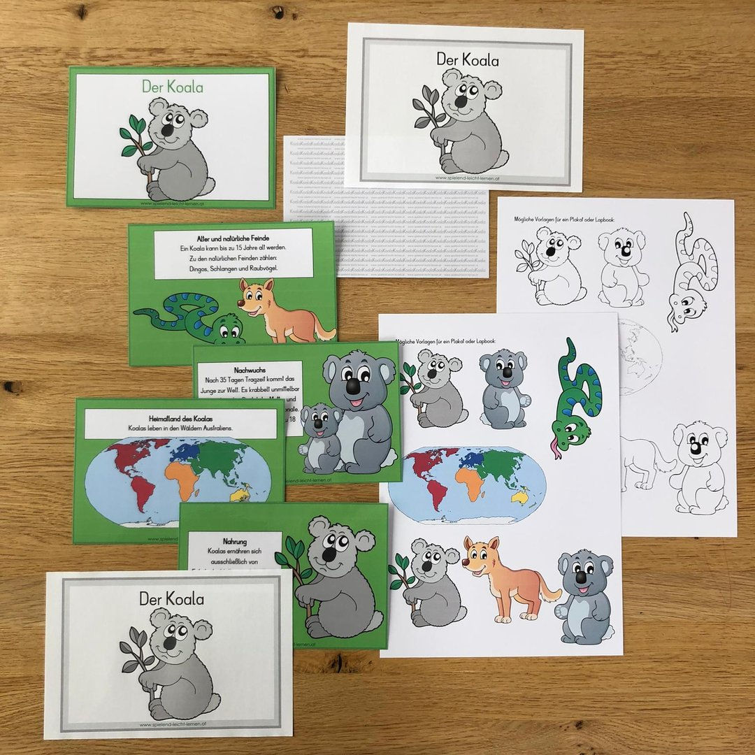 Tierkartei mit Abschreibheftchen - KOALA