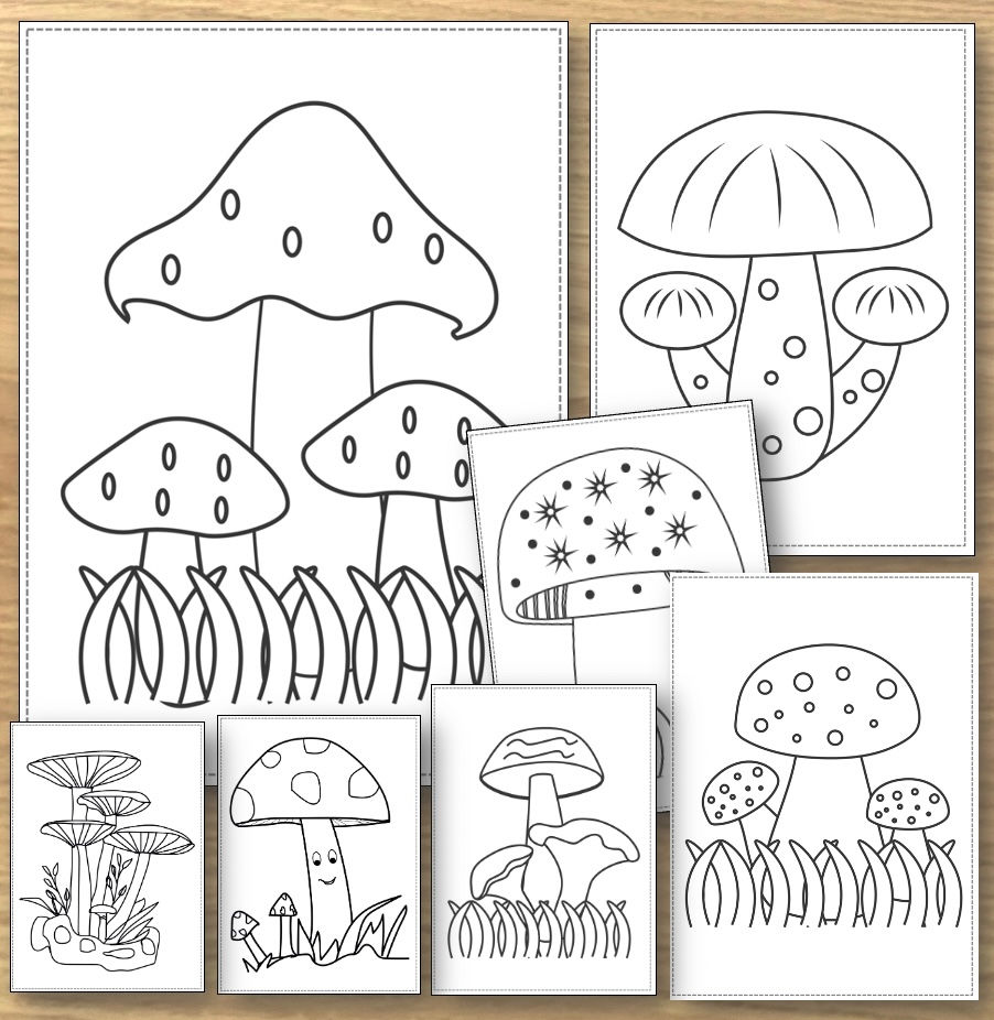 Pilze Ausmalbilder 7 Motive zum Weitergestalten