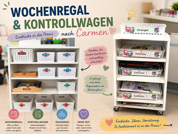 Wochenregal / Kontrollwagen