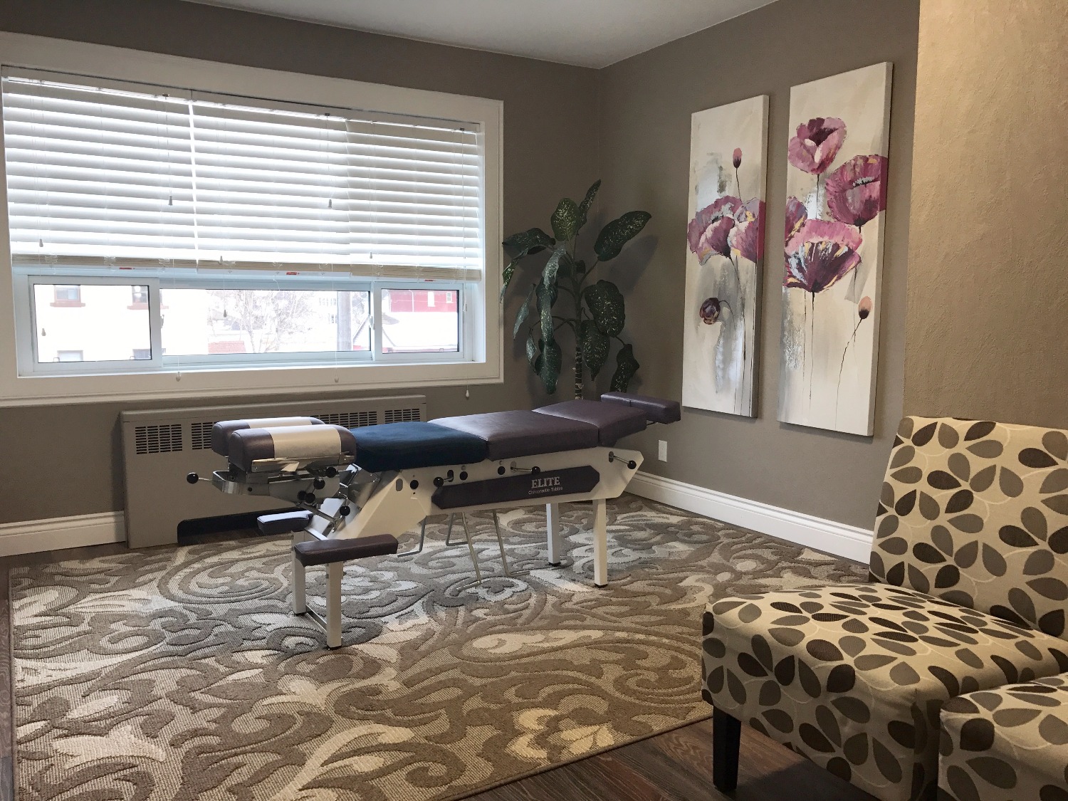 Chiropractic Care Thunder Bay, Ontario Gleeson Clinic