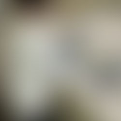 Seva Bedi ’26: Central New England Endodontics and Implantology