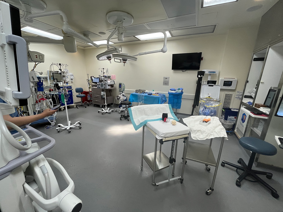 Dr. Stein's operating room