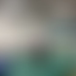 Kate Hayes ’26: Boston Ability Center