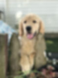 fullsizeoutput_22e2.jpeg