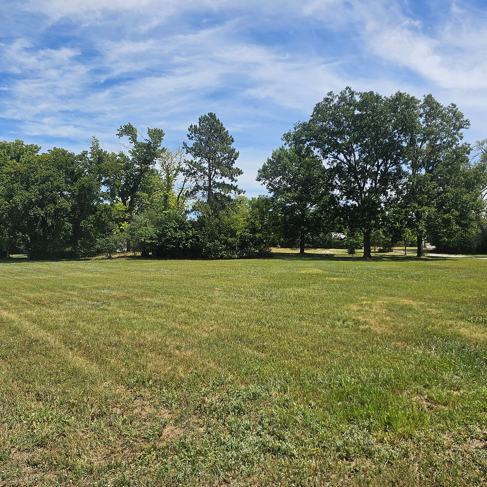 20260819_140759.jpg
