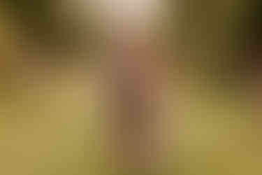 bride and groom stand facing each other with trees either side of them.