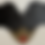 Thumbnail: Afro Puffs