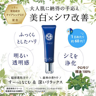 バナー.jpg