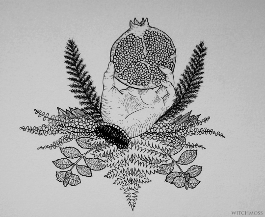 fruit of wisdom