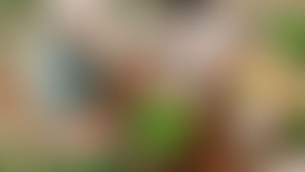 Community Partner Earth Day Celebrations at Tom Tom