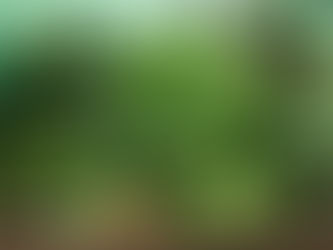 La fée des semis s’est-elle penchée sur mon berceau?