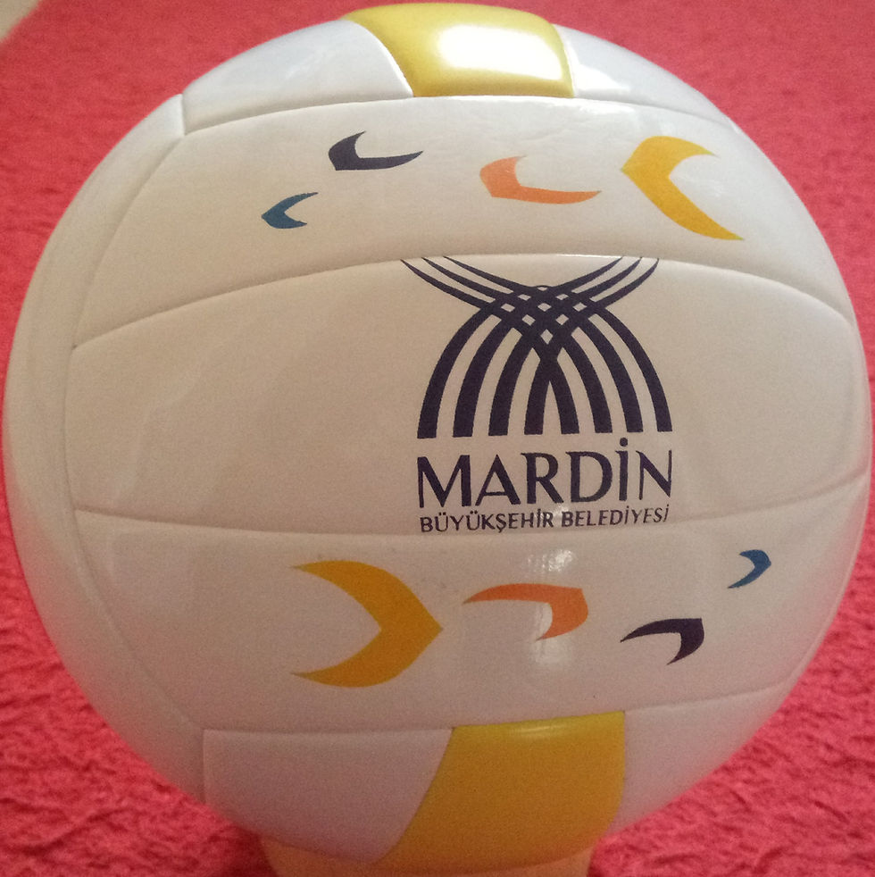 Mardin Belediyesi Promosyon Voleybol Topu