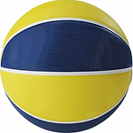 sarı-lacivert-renk-basketbol-topu.png