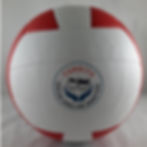 Aile ve Çalışma Bakanlığı Voleybol Topu