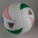 Isparta Belediyesi Voleybol Topu
