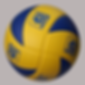 Eksoy Kimya Voleybol Topu