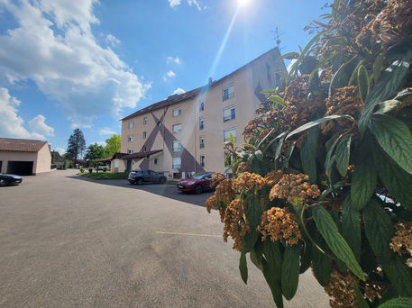 DTFY4973.JPG