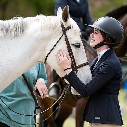 white horse facing rider.jpeg