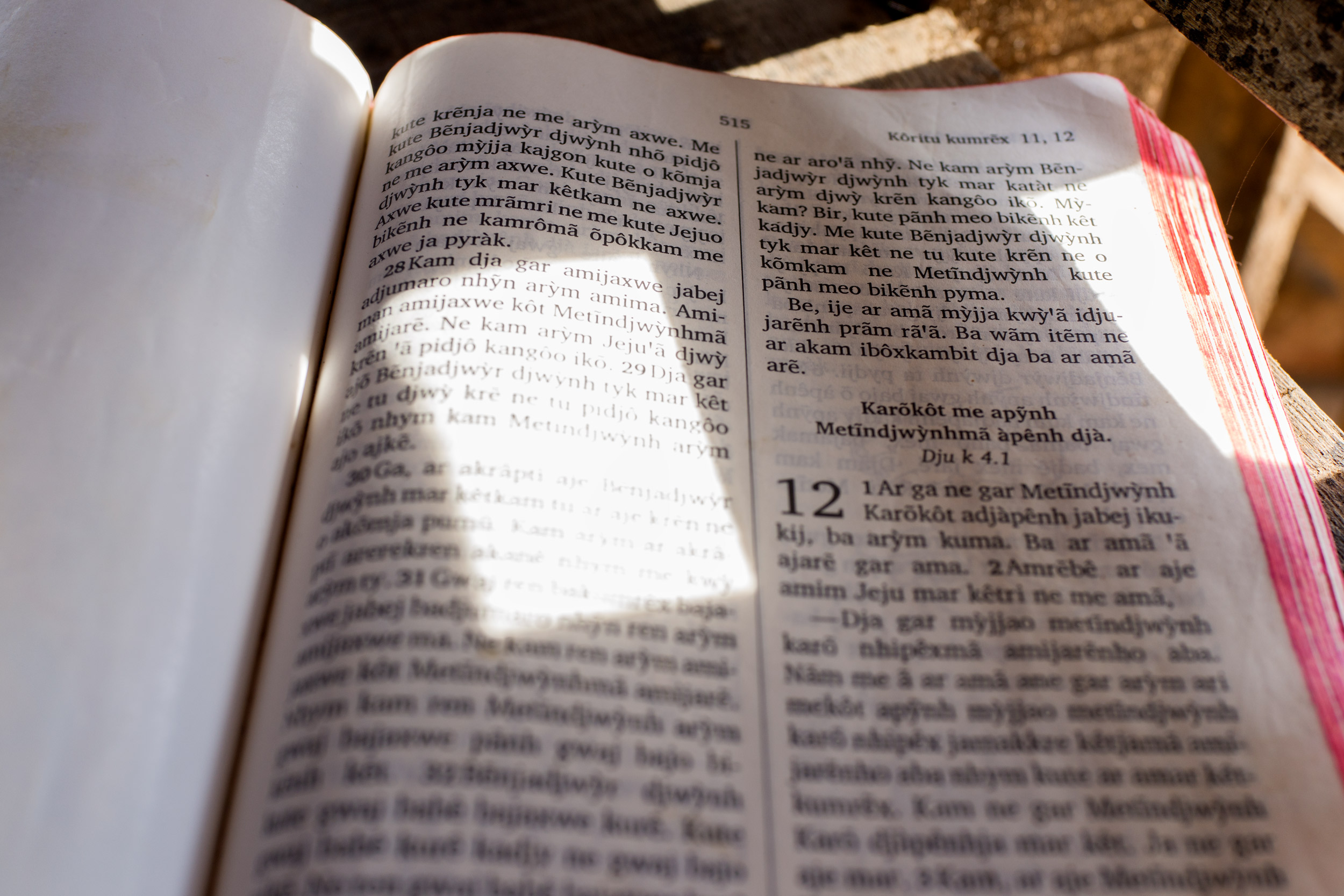 Bible-web