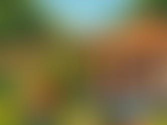 Voluntariado na Pousada Oca dos Índios: Vem viver Arraial d’Ajuda com o Worldpackers