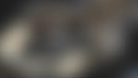 Zainstalowano filtr powietrza FTP, wykonano doloty i usunięto MIDCAT w M4 G82. Wzrost mocy po tuningowych modyfikacjach wyniósł 164 KM (od 558 KM do 722 KM).