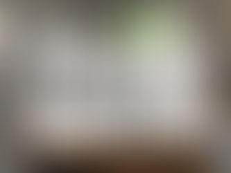 Living Through A Kitchen Renovation