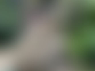 CCZ percorre todas as regiões de Guarulhos em cinco dias com ações de combate à dengue