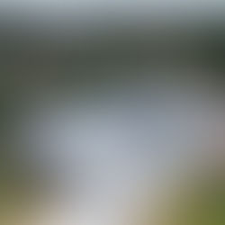 Cidade avança na modernização do sistema elétrico com entrega da nova etapa do “Complexo Guarulhos” da EDP