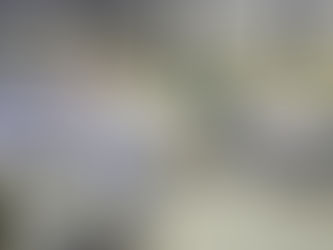 Guarulhos abre inscrições para eleição do Conselho Municipal de Segurança Alimentar e Nutricional