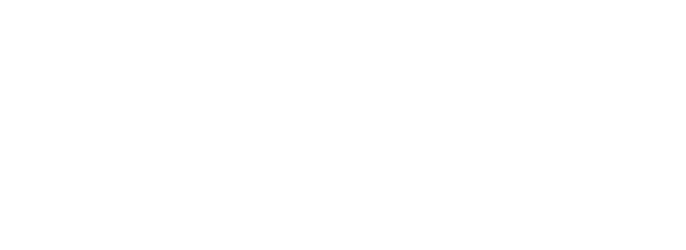 3bird-Primary Logo-White.png