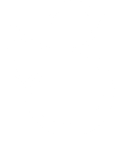 3bird-Primary Logo-White.png