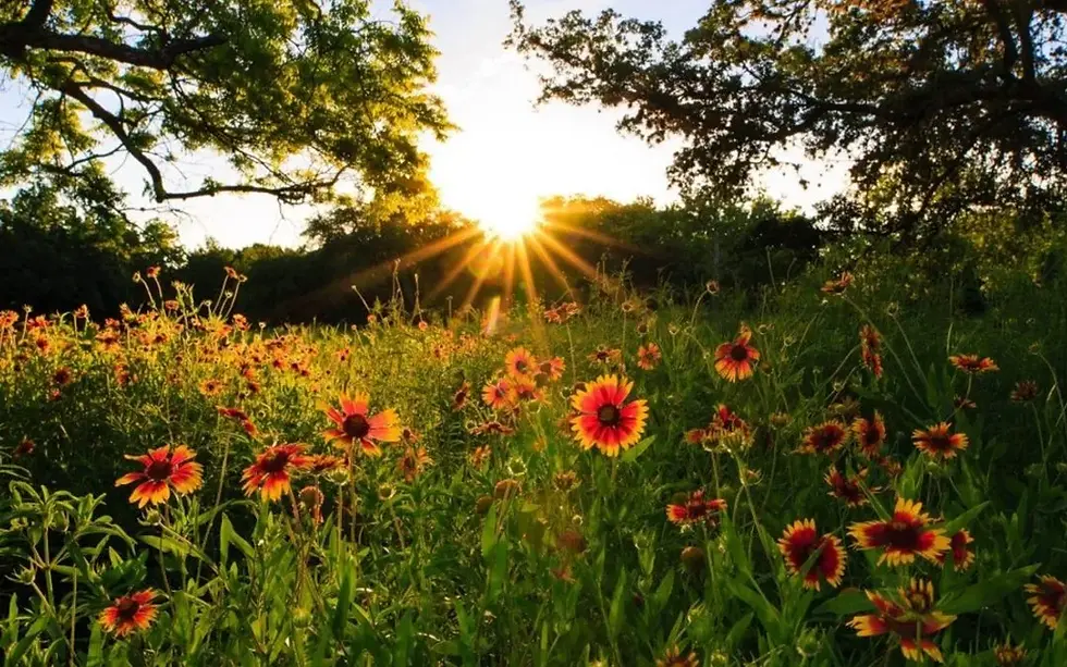 Poems in Appreciation of the Beauty of Litha