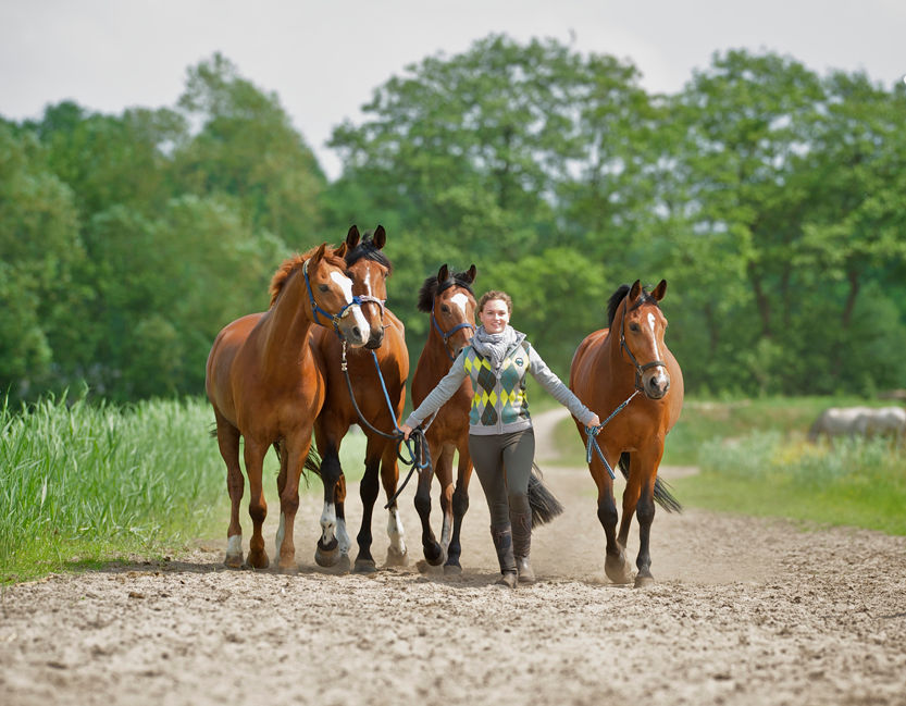 Thumbnail: Vest Babette Nightshade