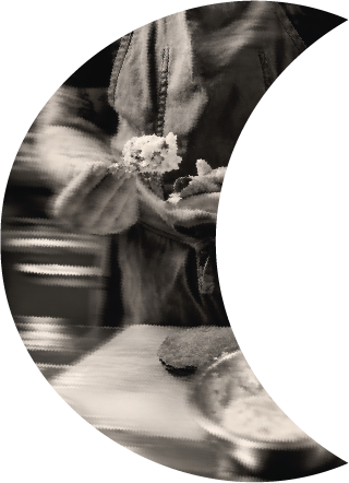 Risorsa 4PRINCIPAL .png