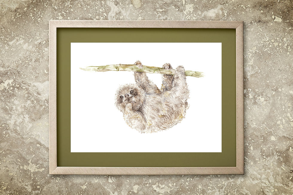 Thumbnail: Sloth Limited Edition Print 8.5x11 Watercolor