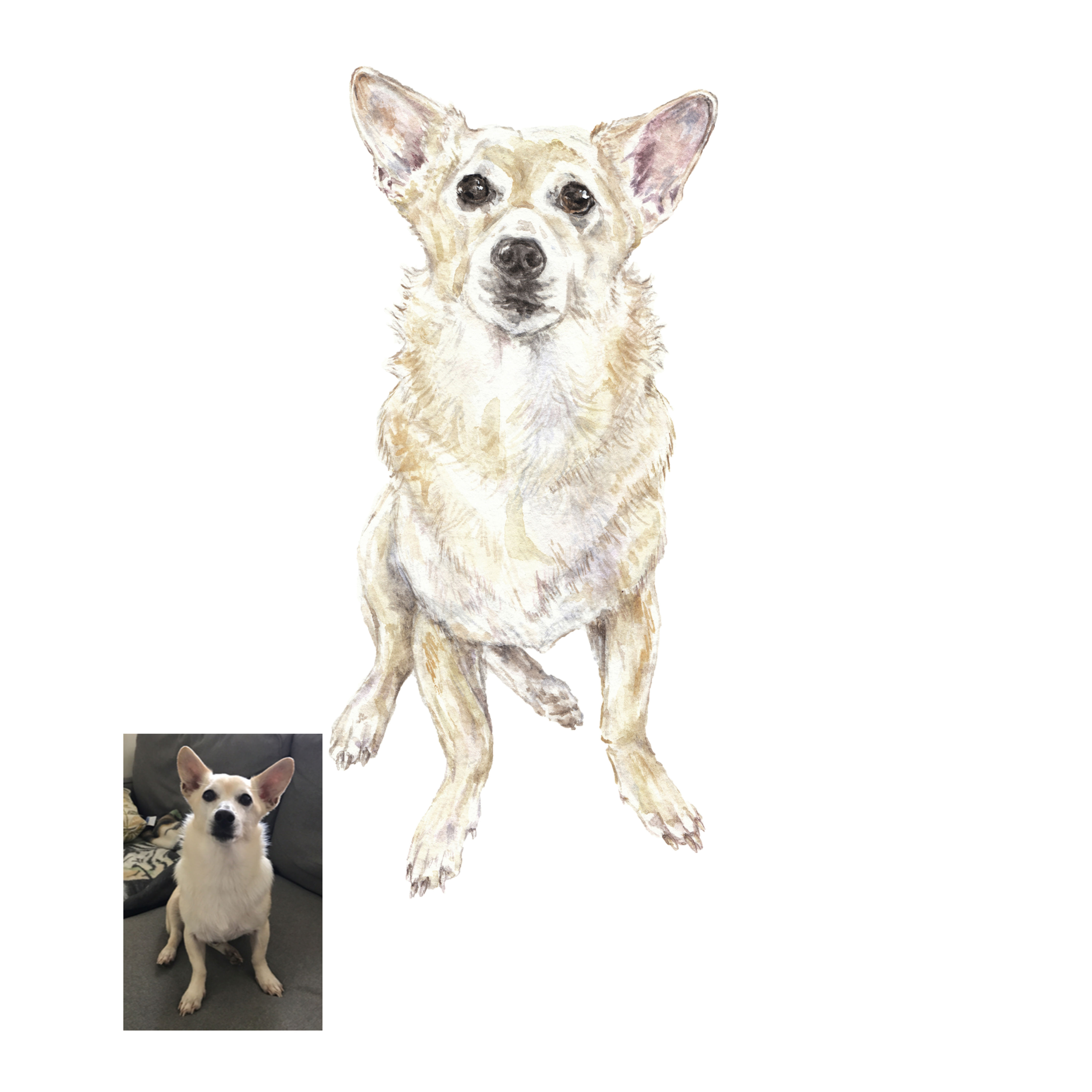 SMALLER SIZES CUSTOM Watercolor Pet Portrait Original Painting